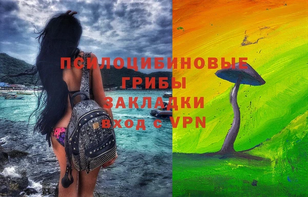 мяу мяу мука Алзамай